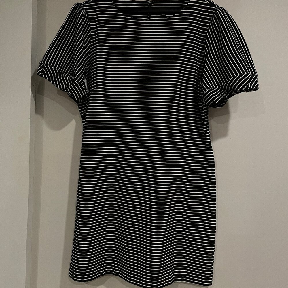 Ann Taylor Black and White Striped knit dress